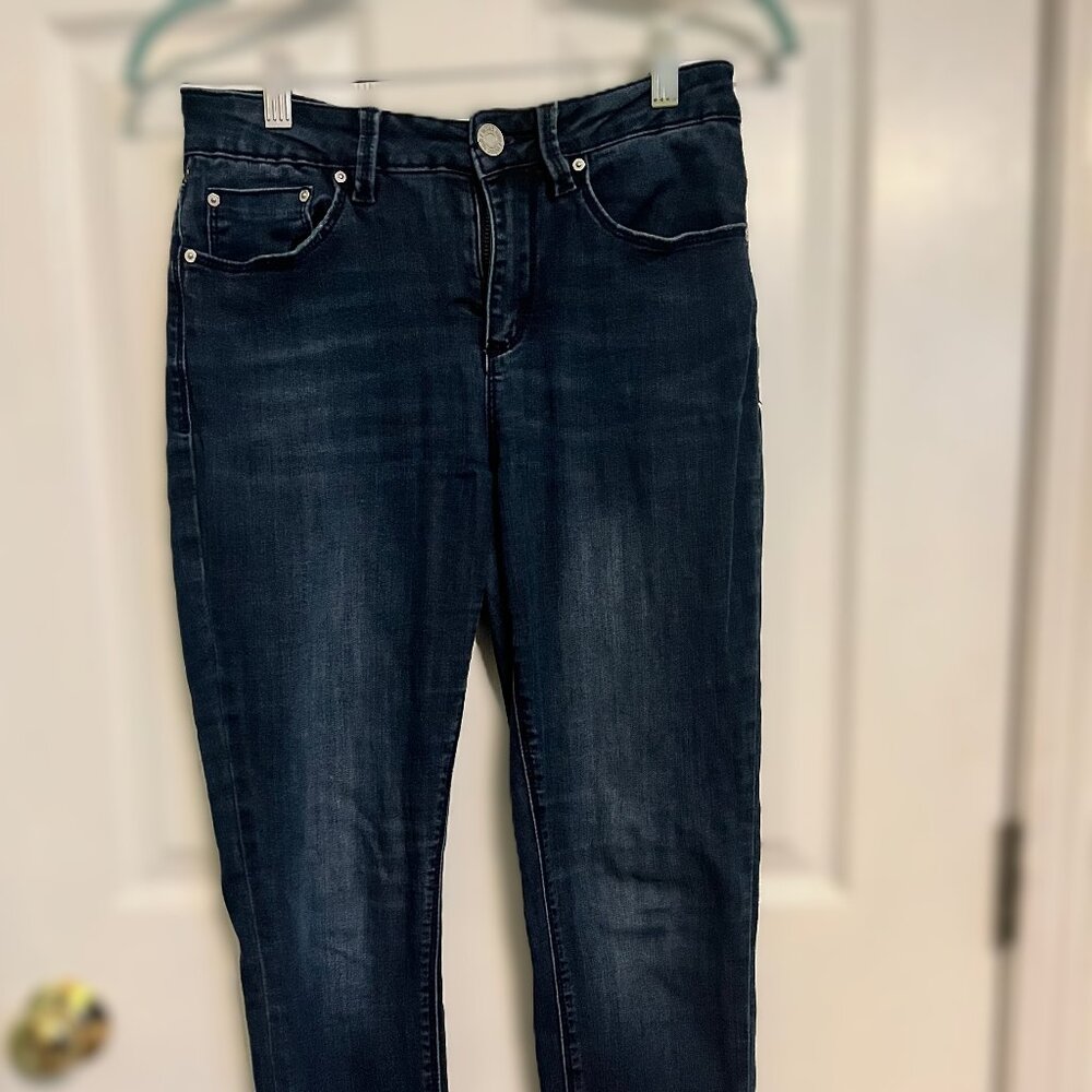 Indigo Rein Jeans, Size 7